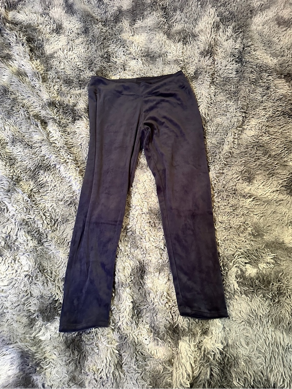 Cuddl Duds Blue Plush Leggings